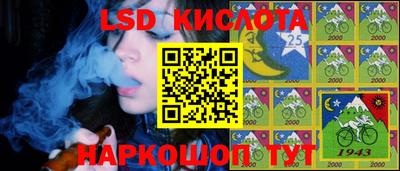 шишки Будённовск