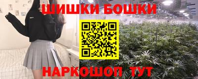 шишки Будённовск