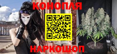 шишки Будённовск