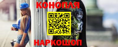 шишки Будённовск