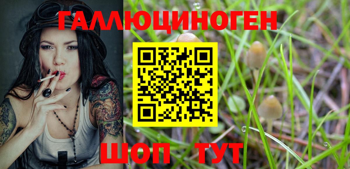 Псилоцибиновые грибы мицелий Красноуфимск