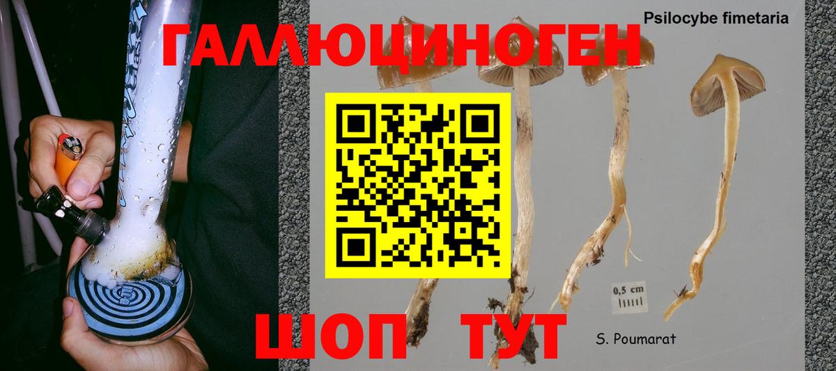 Красноуфимск  Галлюциногенные грибы прущие грибы  Вход с VPN 